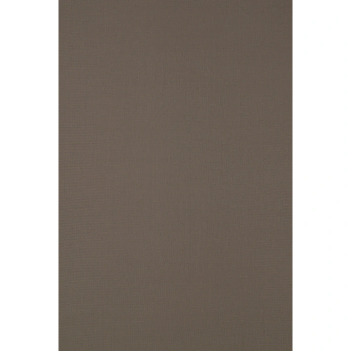 Screen 300 - Rolgordijn transparant