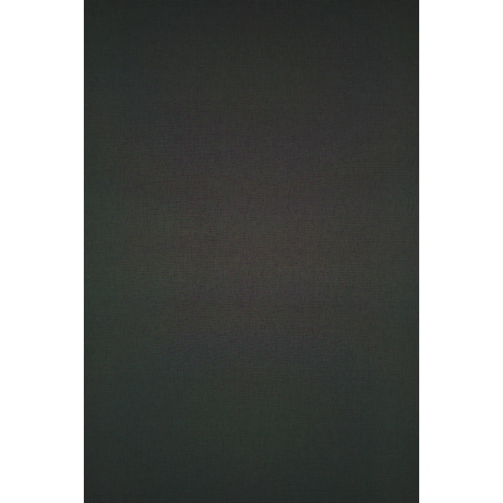 Screen 400 - 10% - Rolgordijn transparant