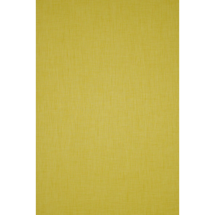 Tendence - Rolgordijn transparant