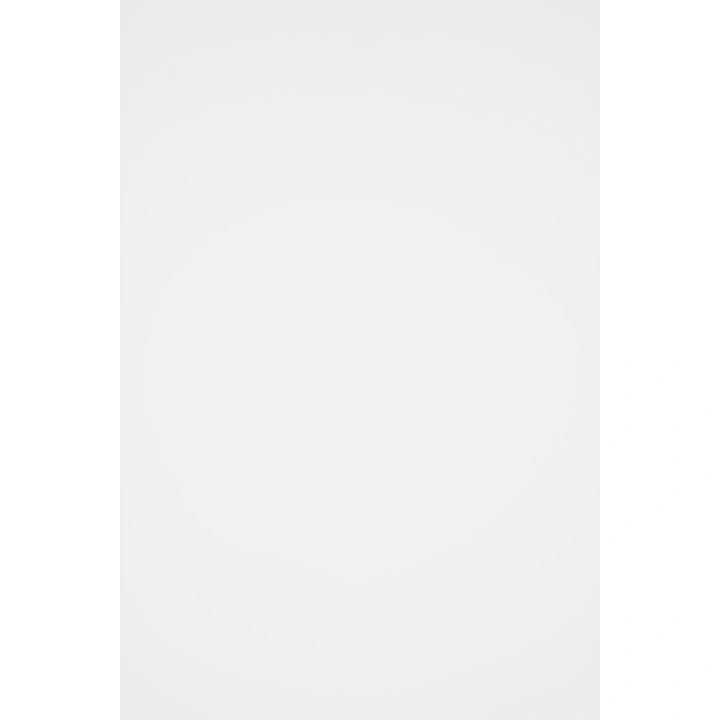 Screen 400 - 10% - Rolgordijn transparant