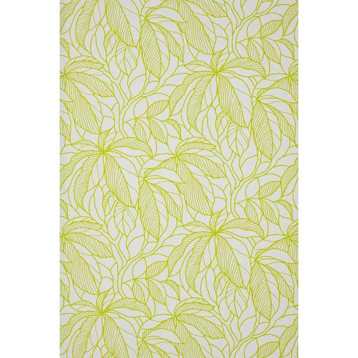 Florence - Rolgordijn transparant / lichtdoorlatend